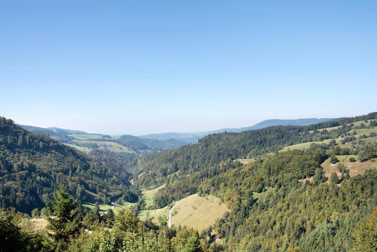 Apartamento Schwarzwaldperle Todtmoos Exterior foto